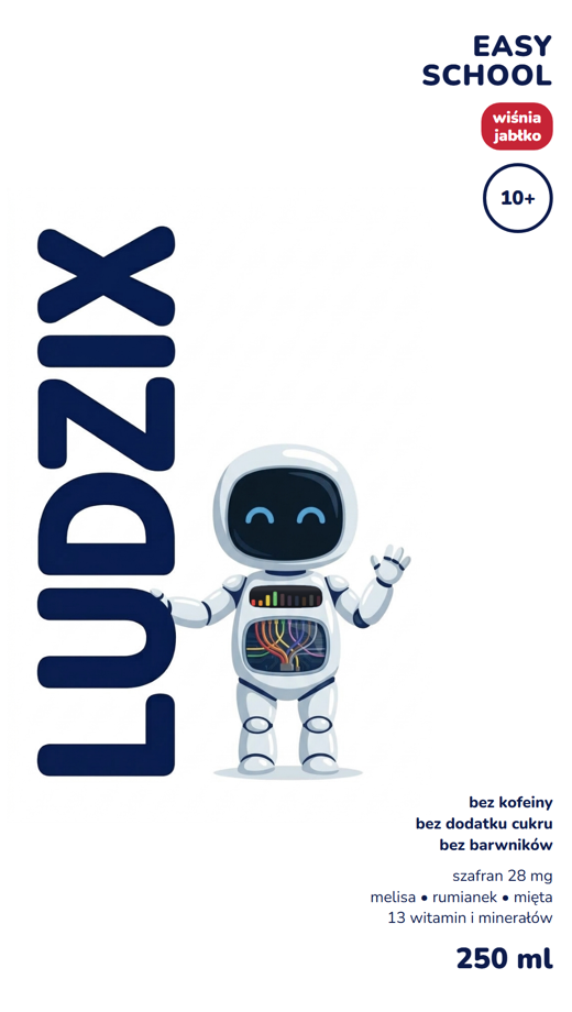 Opakowanie LUDZIX EASY SCHOOL